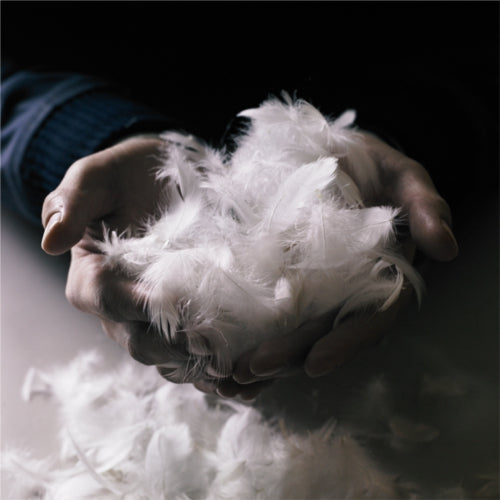 Kitamura Makura 小羽毛輕柔枕頭 (M)