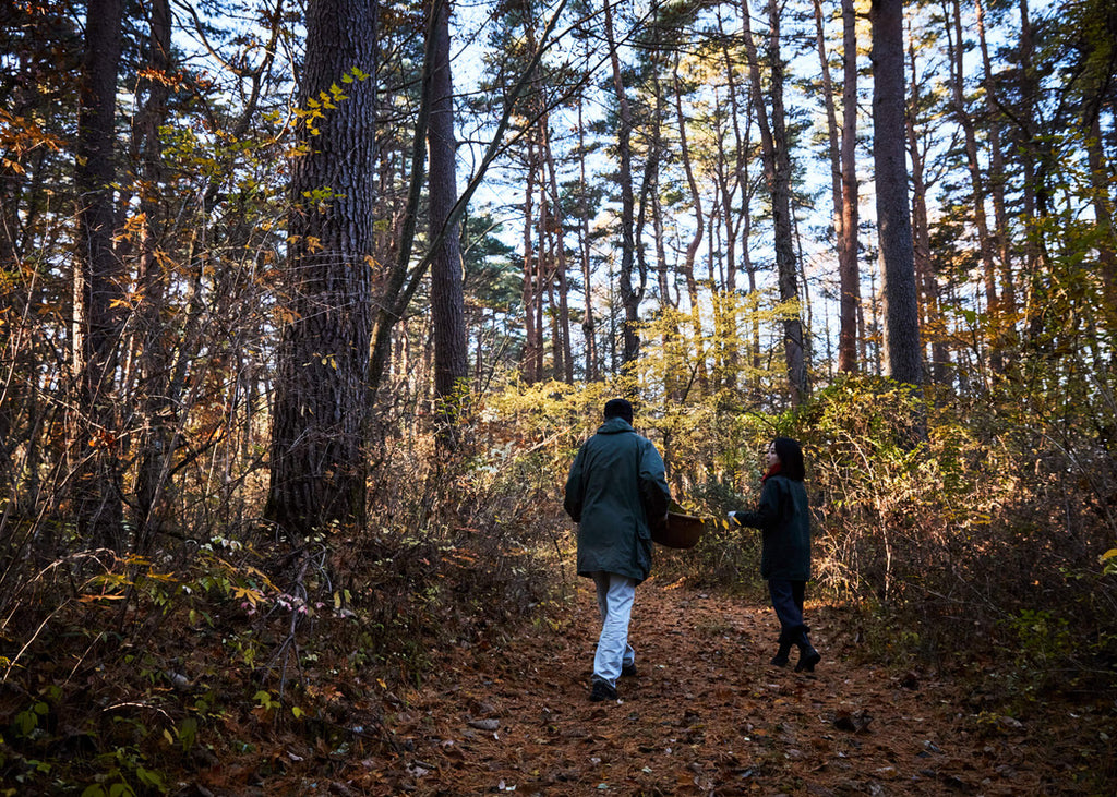 NOI Aroma Morning Lake 提振噴霧