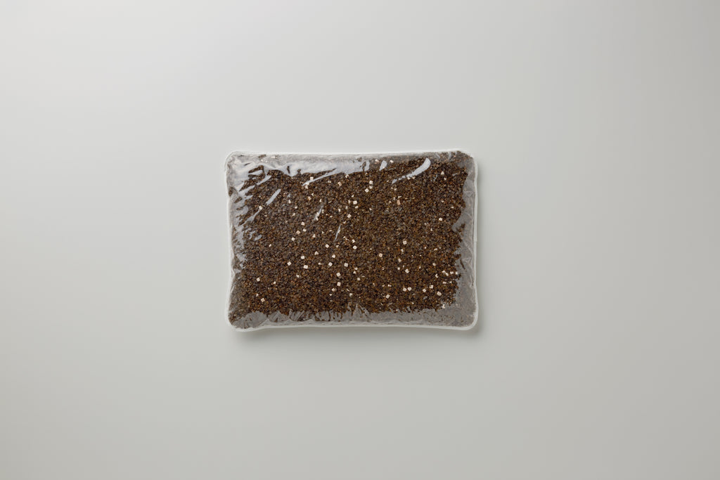 Kitamura Makura 蕎麥殼＋檜木健康枕頭 (L加大）