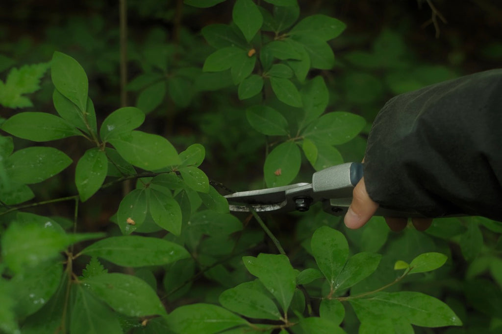 NOI Aroma Stress Relief 舒壓滾珠棒