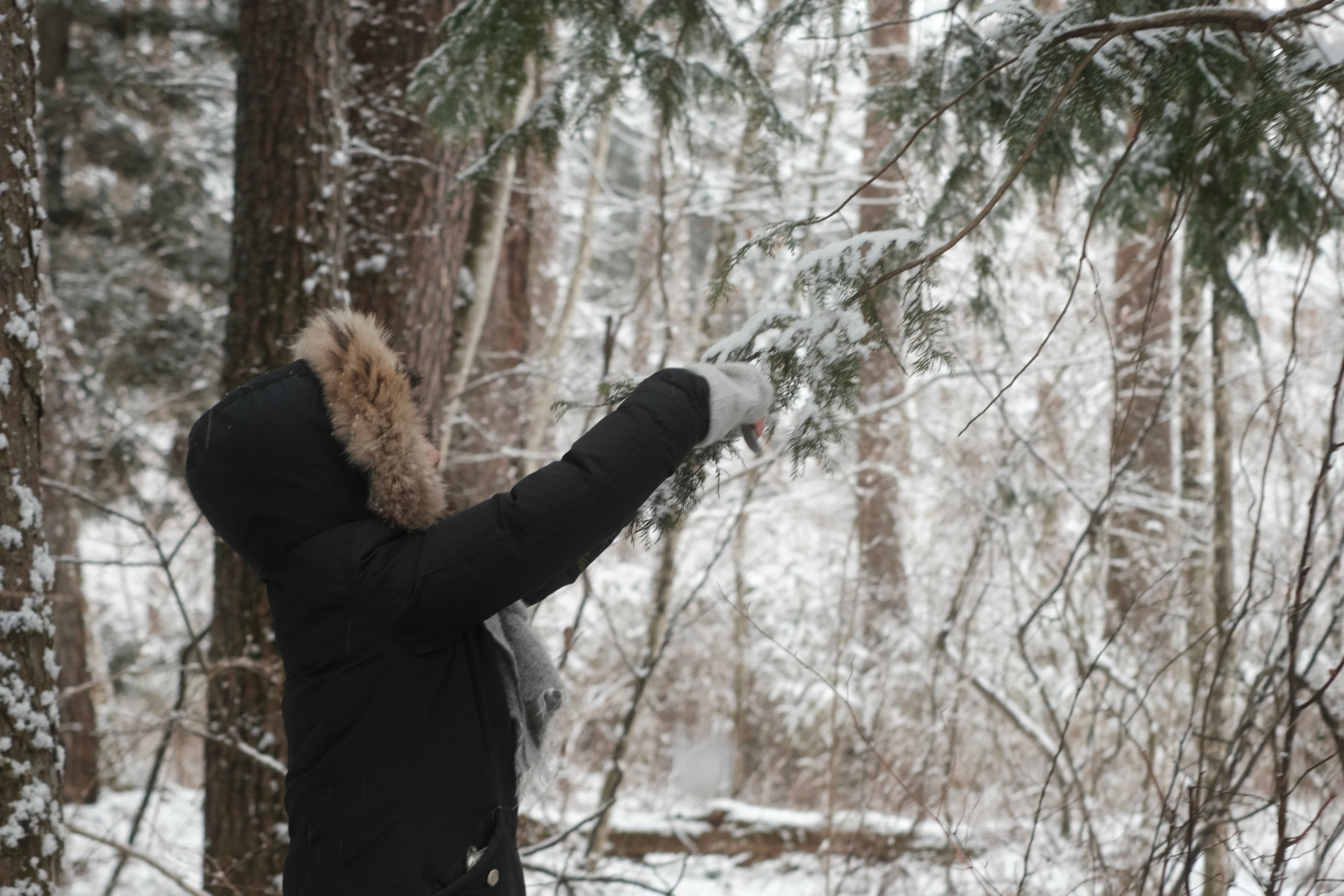 NOI Aroma Into the forest 清新噴霧