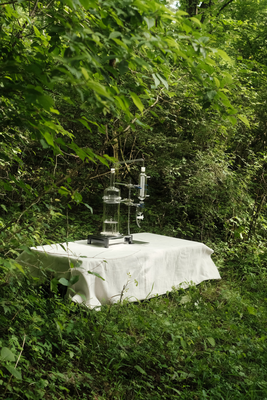 NOI Aroma Into the forest 清新噴霧