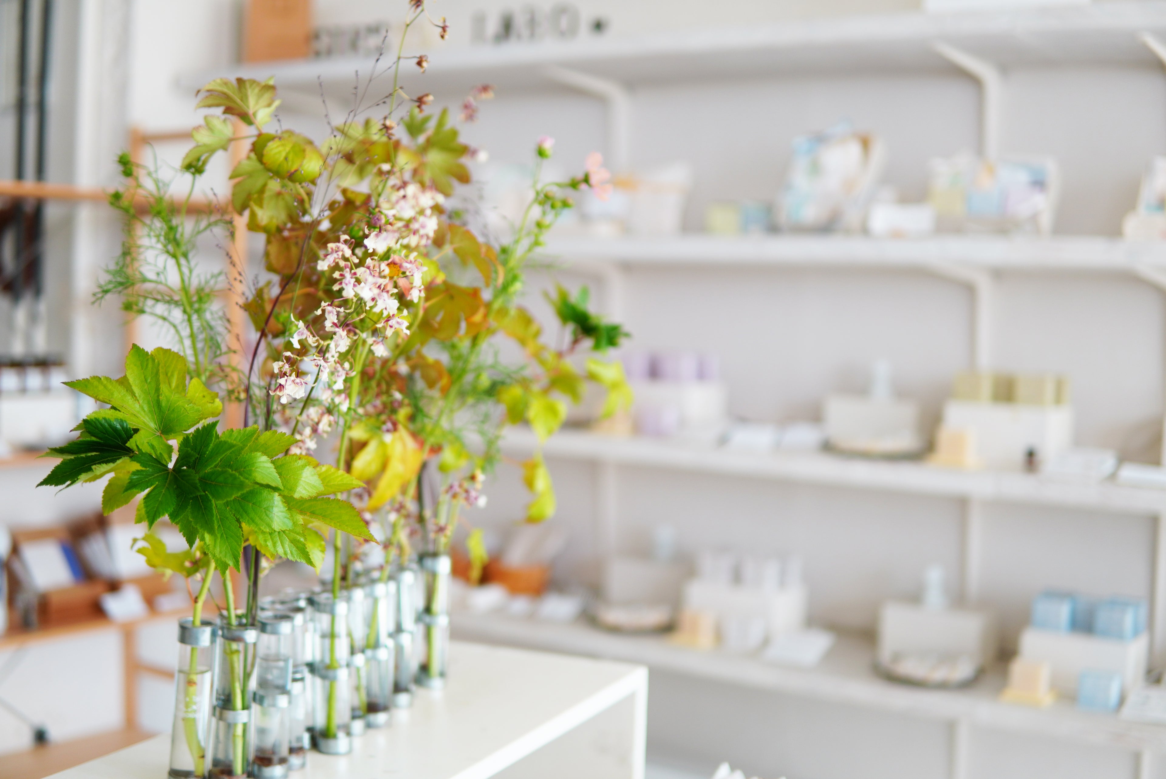 Savon de Siesta 日本原裝冷製皂-北海道三重薄荷精油手工皂